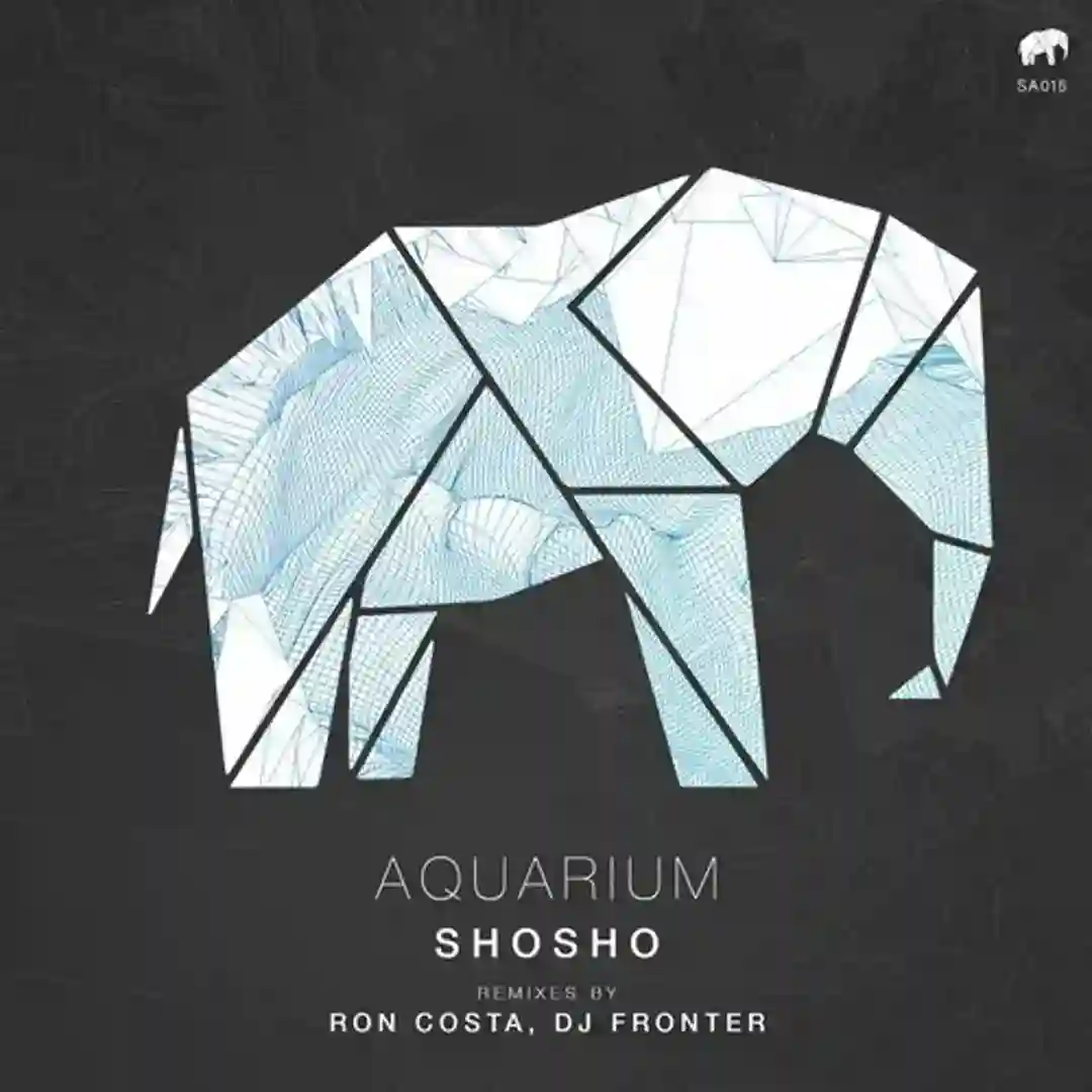 Aquarium (Original Mix) cover