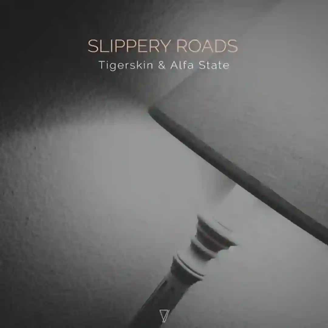 Slippery Roads (Pablo Bolivar Remix) cover