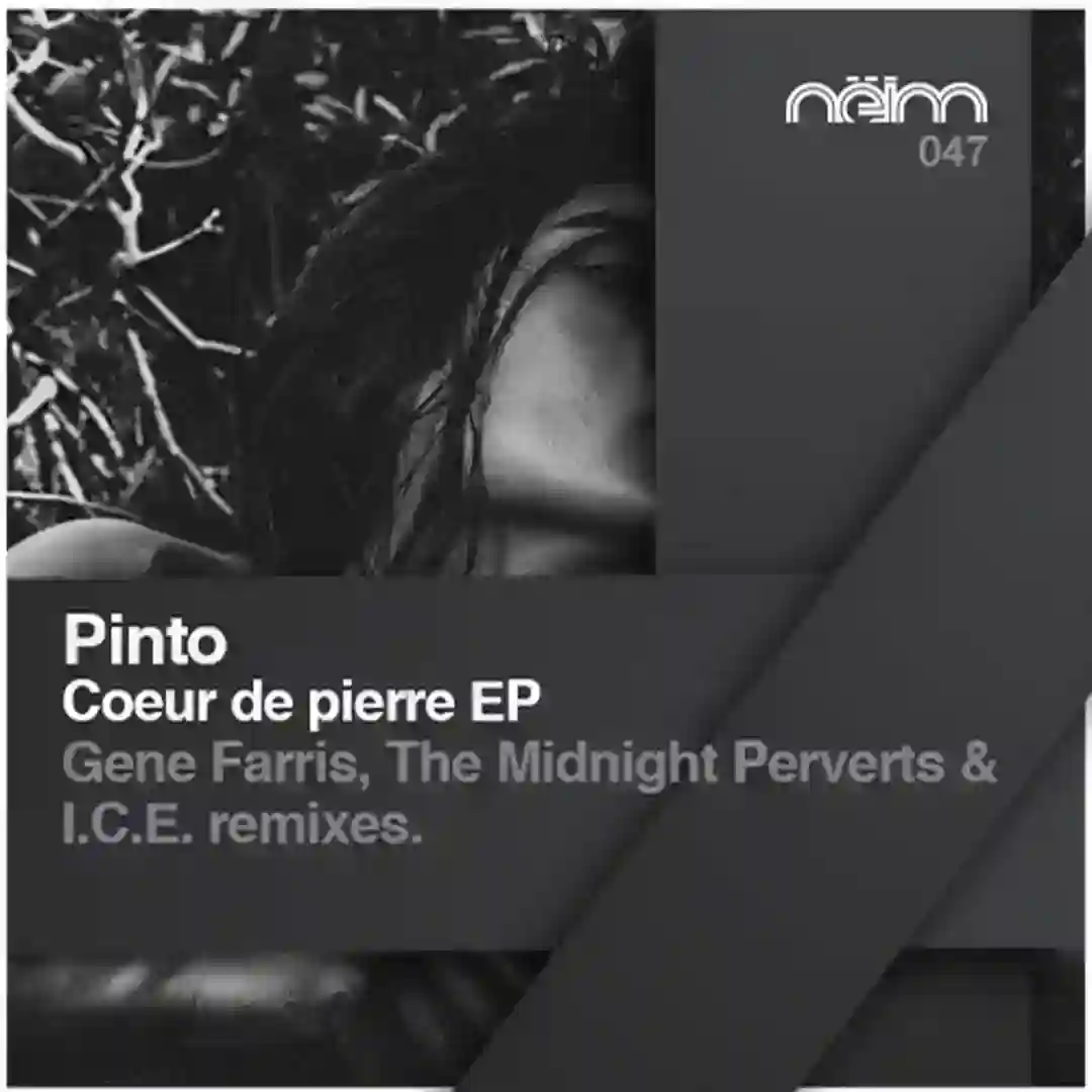 Coeur De Pierre (Original Mix) cover