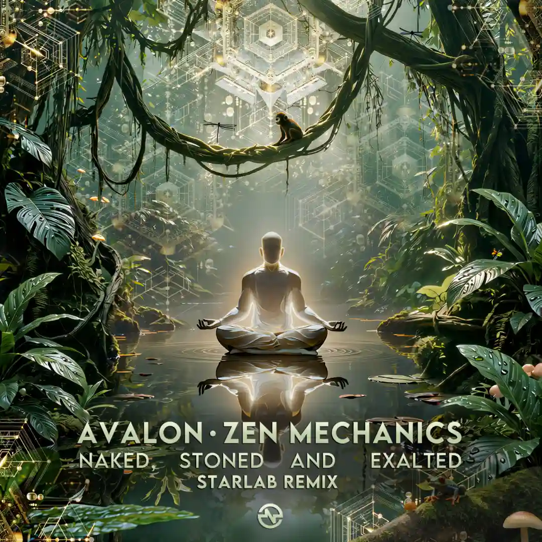 Naked, Stoned and Exalted (Starlab Remix) cover