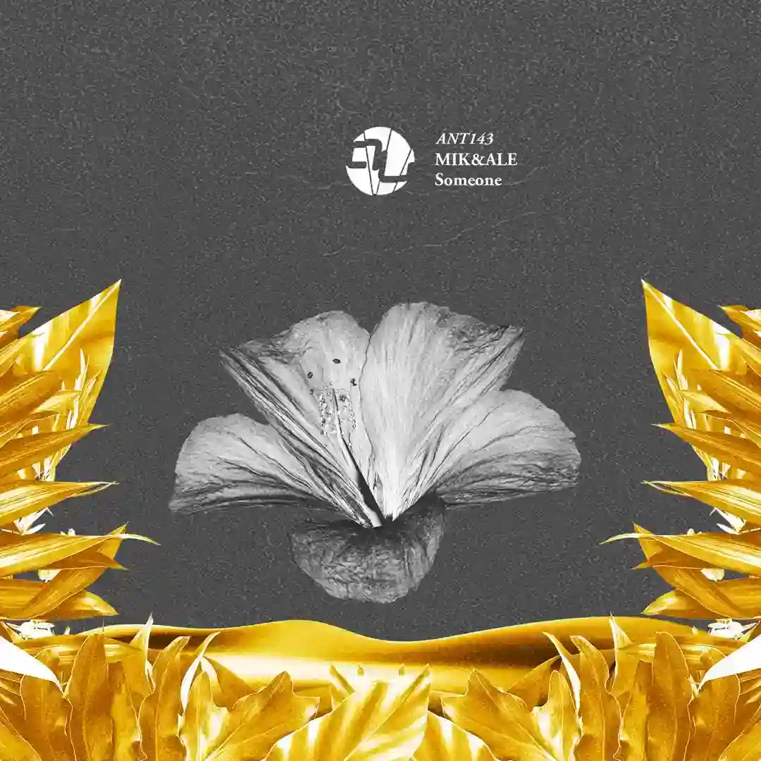 Lokomotiv (Original Mix) cover