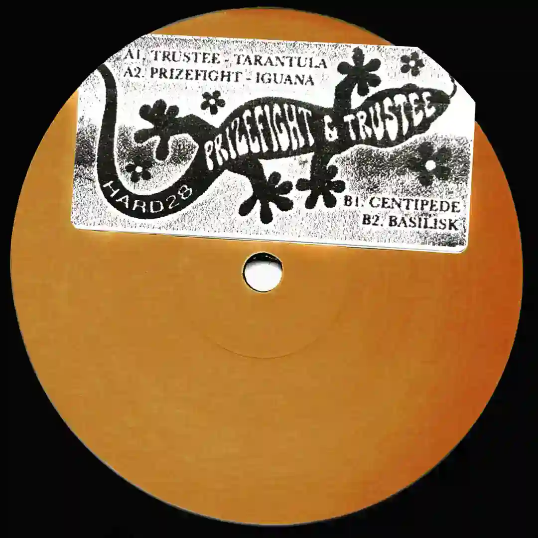 Iguana (Original Mix) cover