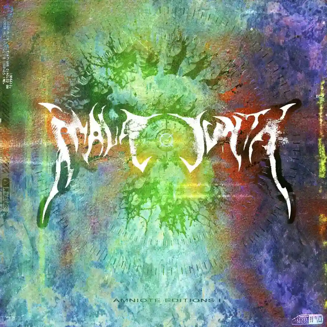 Voyage to Mala cover