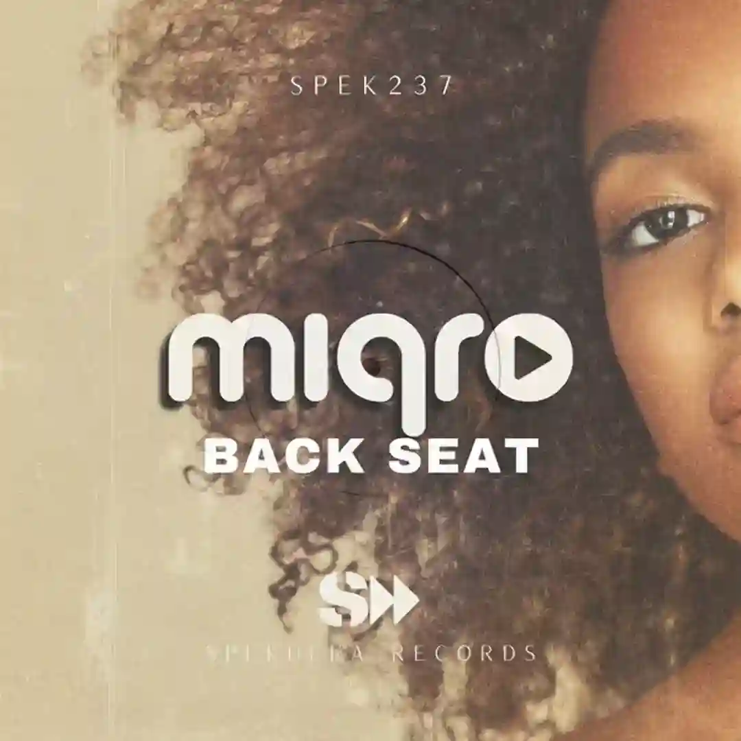 Back Seat cover