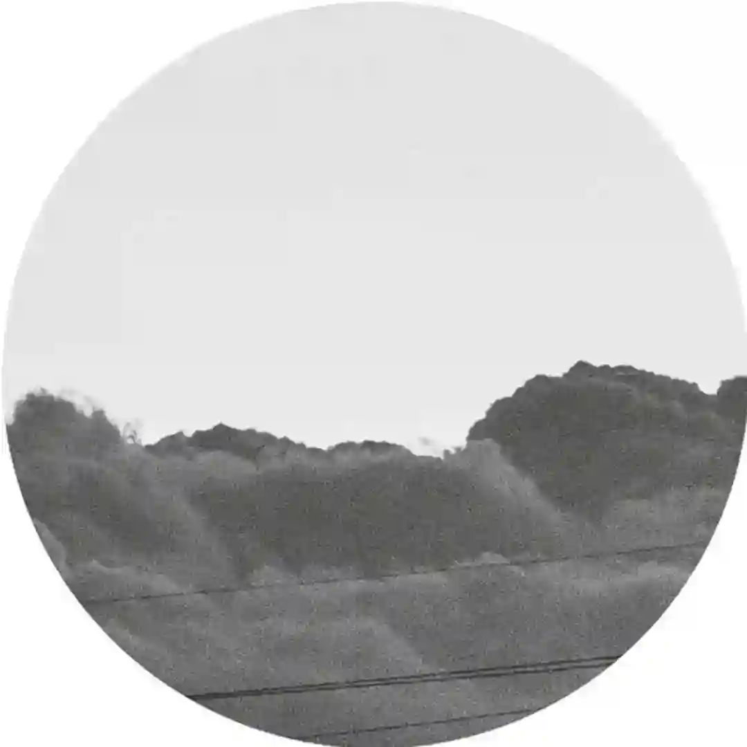Sensimilla (Original Mix) cover