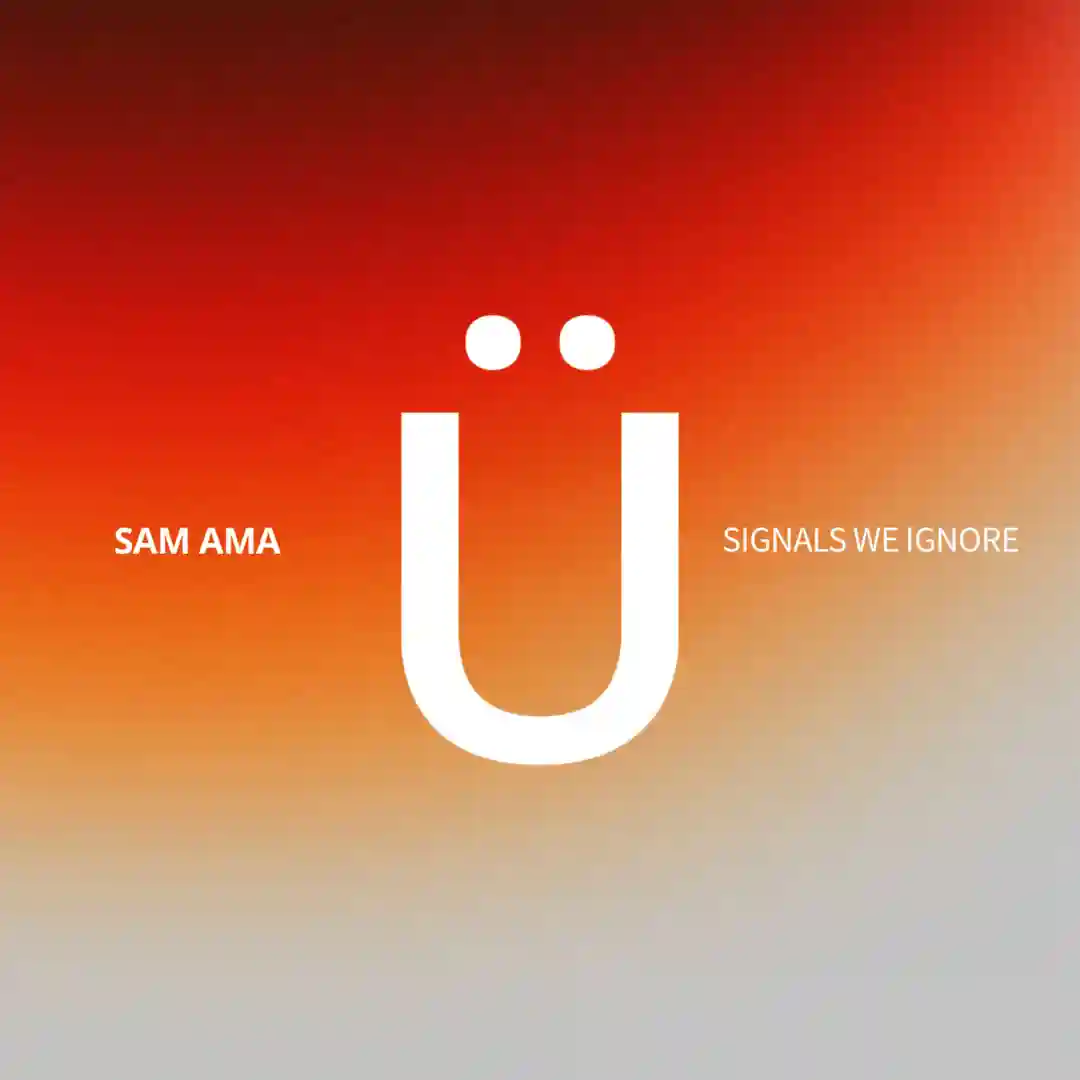 Signals We Ignore cover