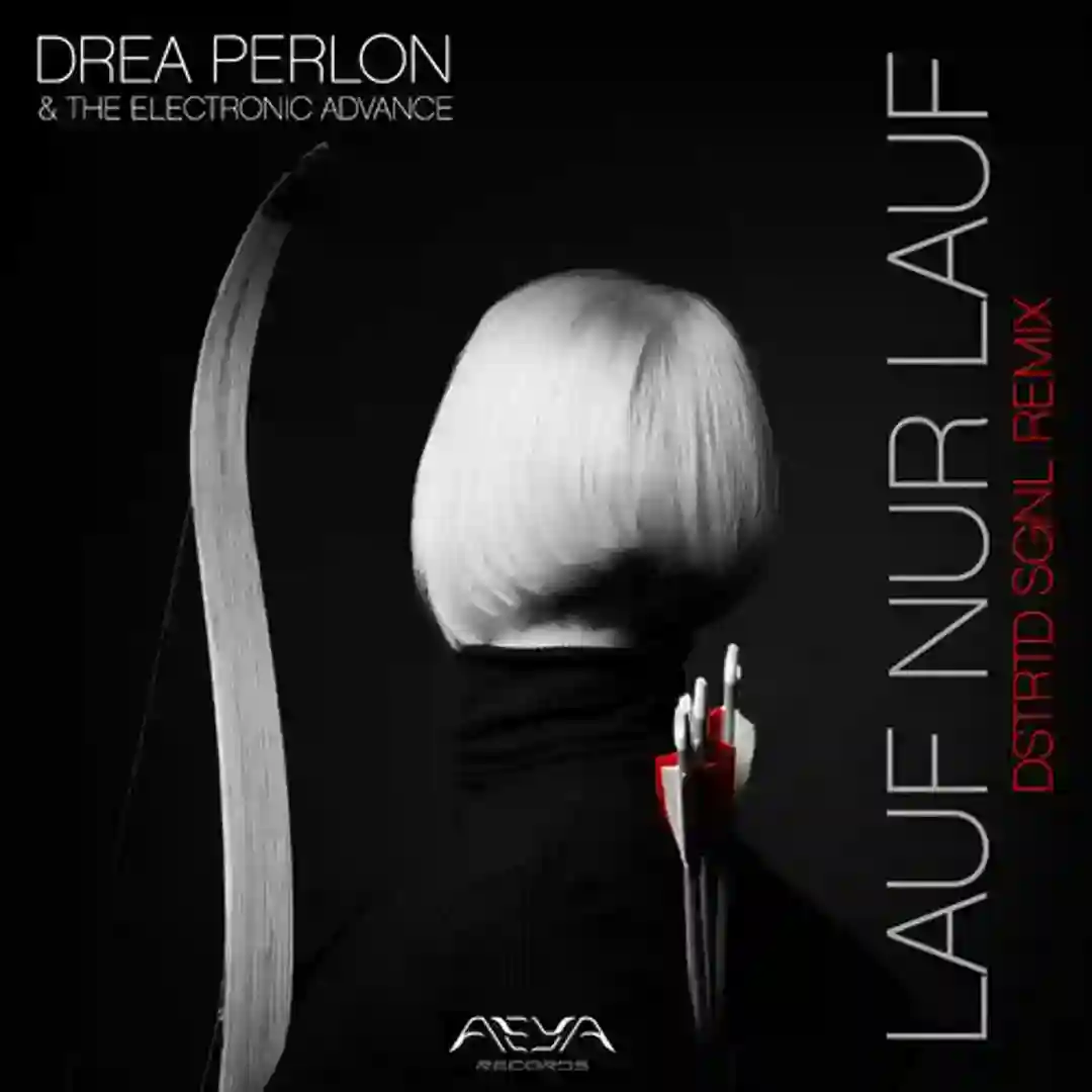 Lauf nur lauf (DSTRTD SGNL Remix) cover