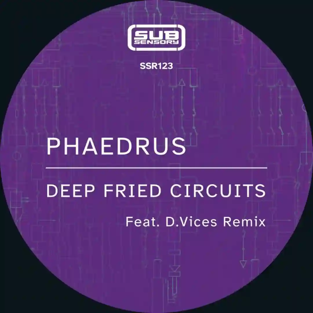 Deep Fried Circuits cover