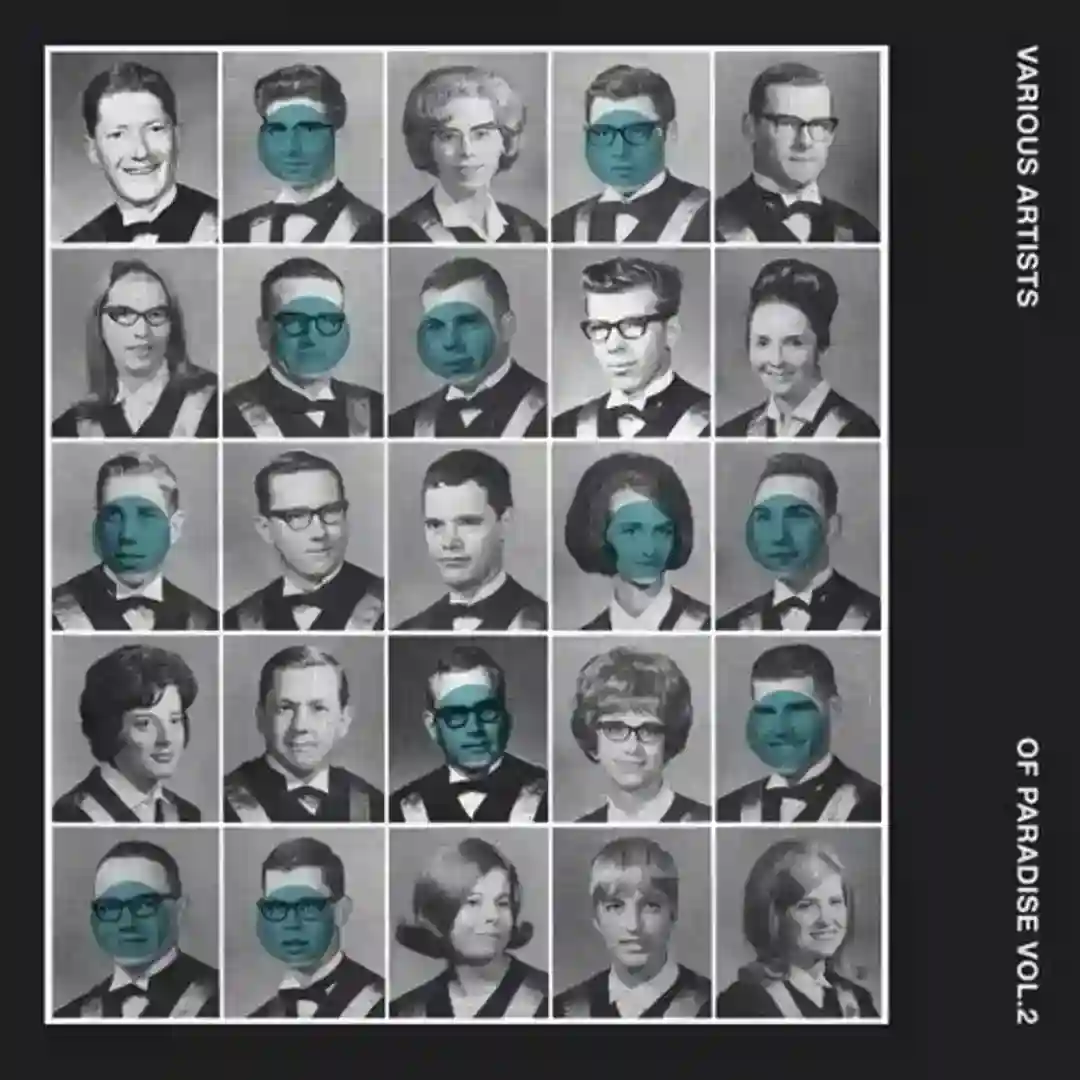 Warped (Original Mix) cover