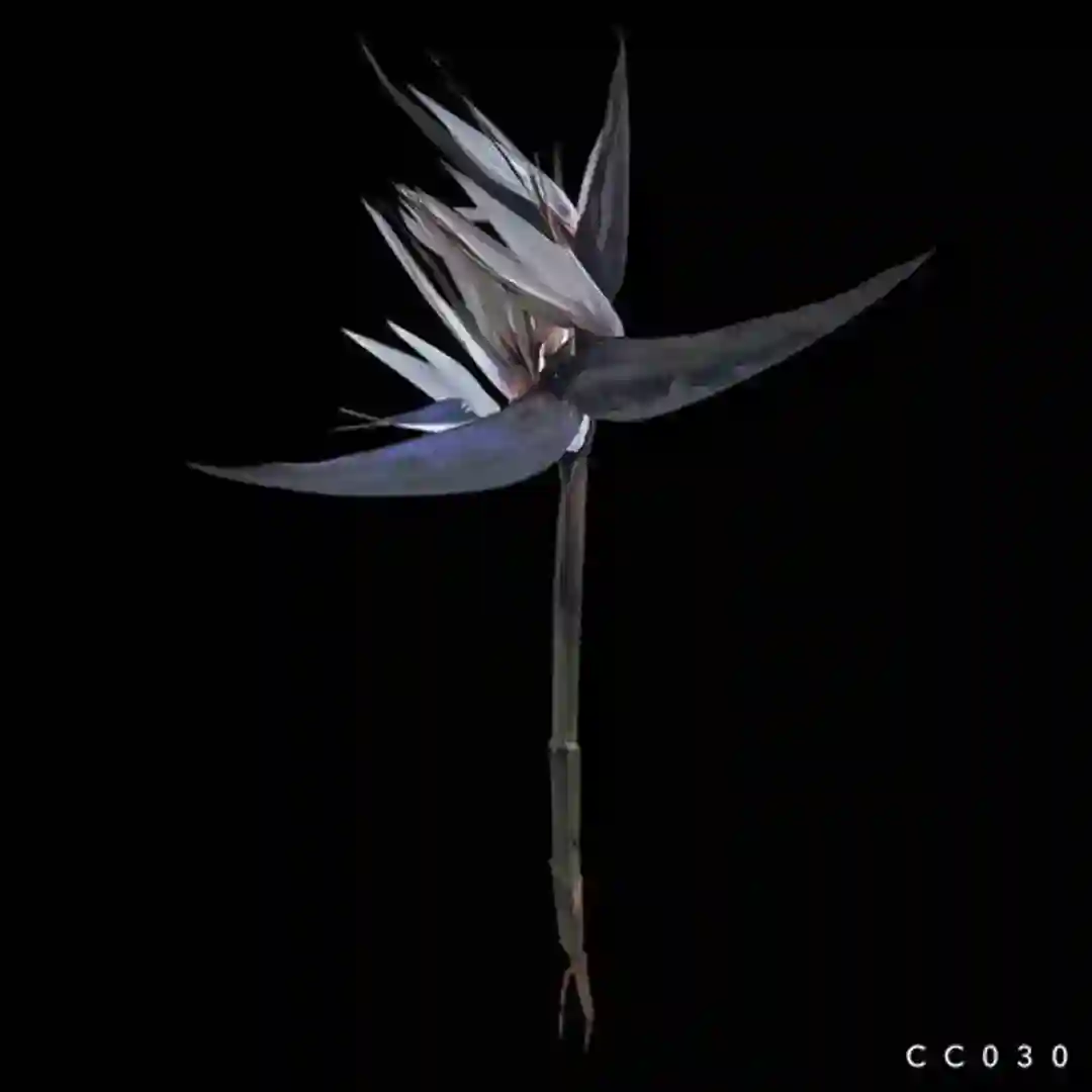 Forget Our Love (Denite Remix) cover