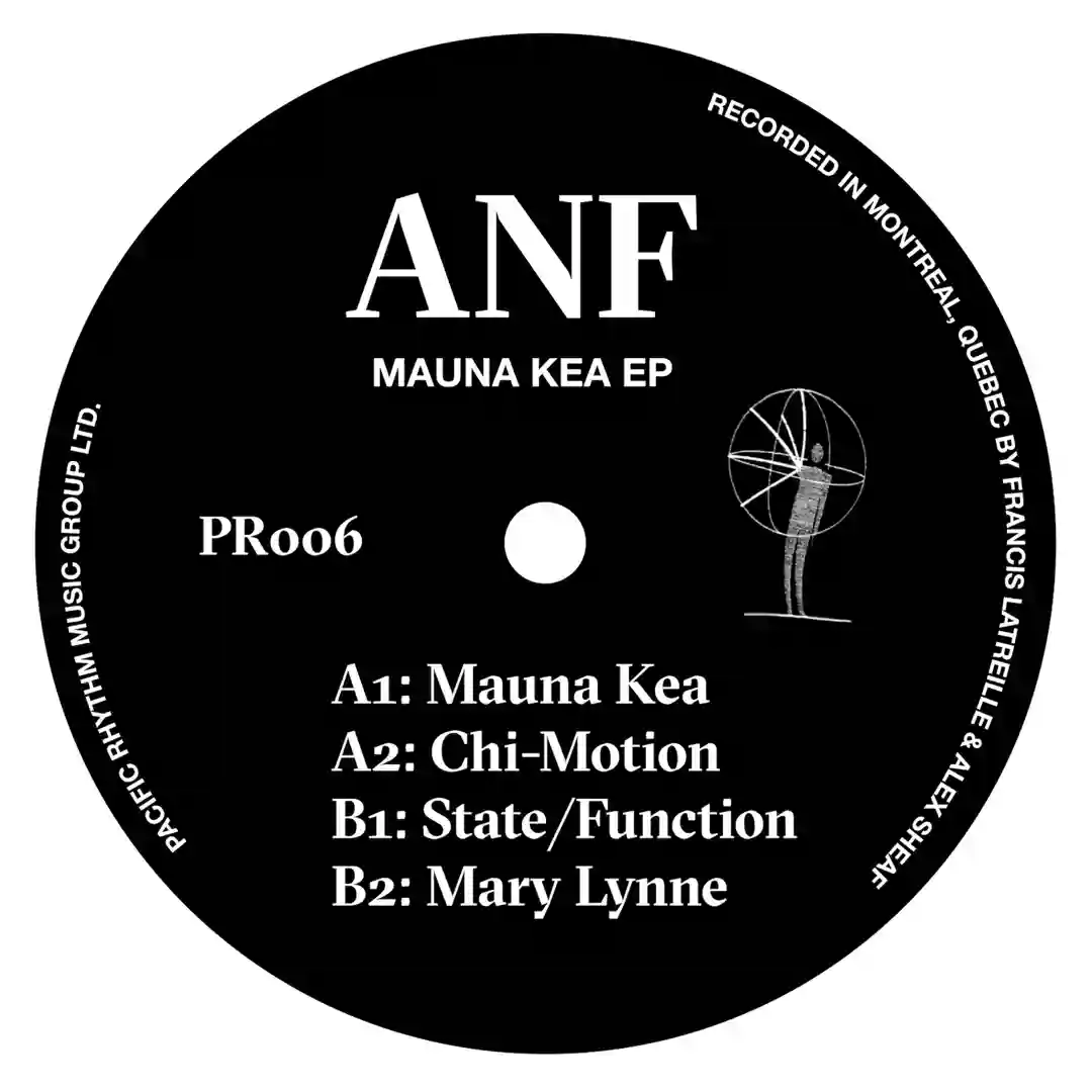 State/Function (Original Mix) cover