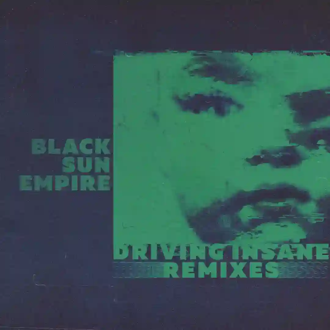 Driving Insane Remixes cover