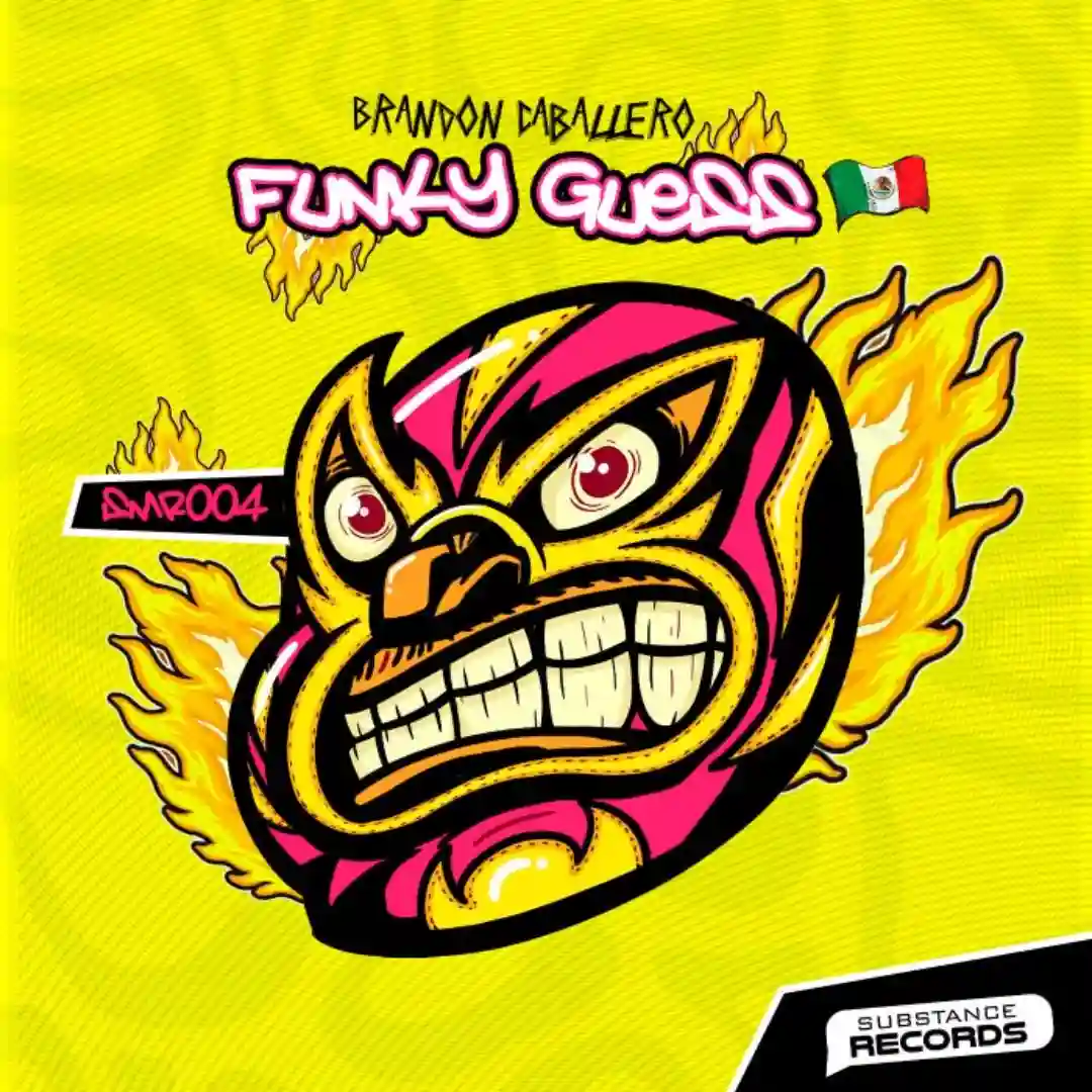 Funky Guess (Original Mix) cover