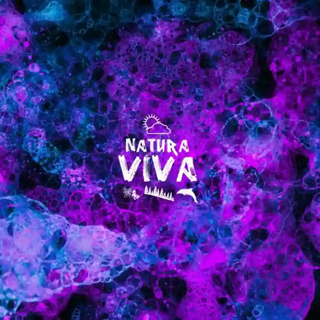 Recreational Worlds cover