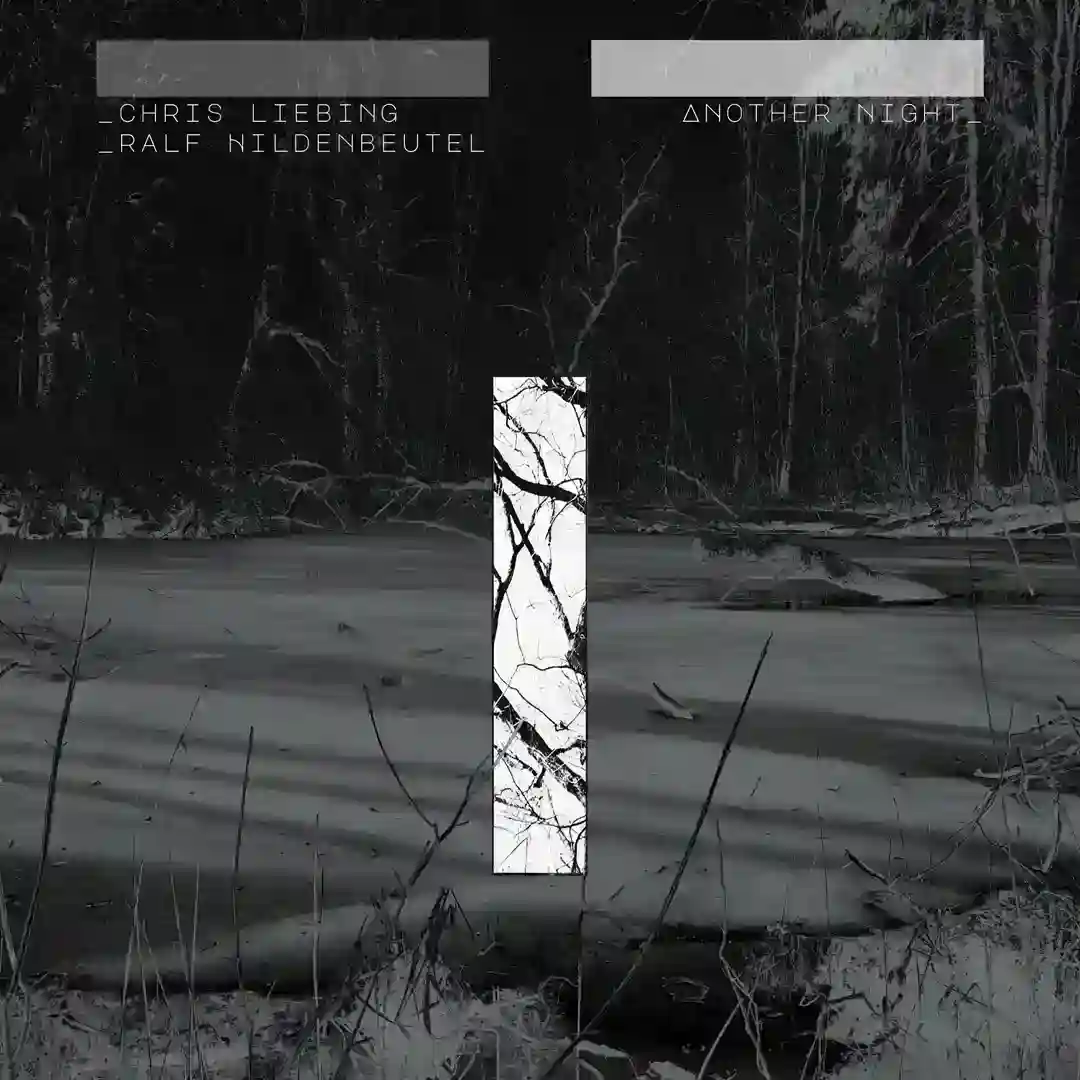 10 West (Anfisa Letyago Remix) cover