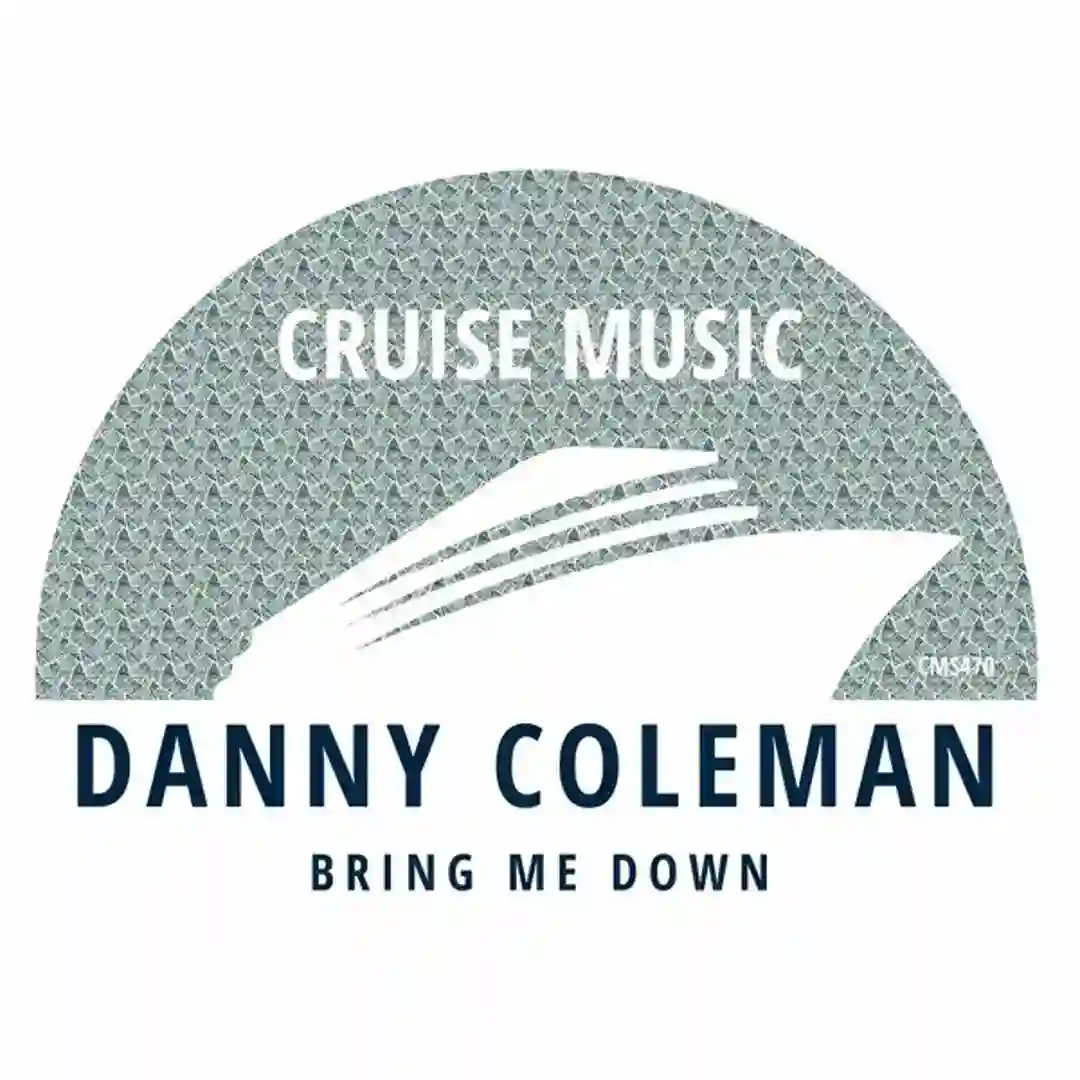 Bring Me Down (Radio Edit) cover