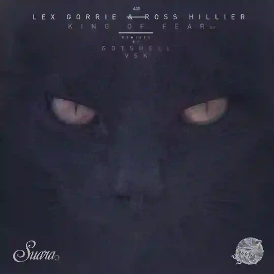 King Of Fear (VSK Remix) cover