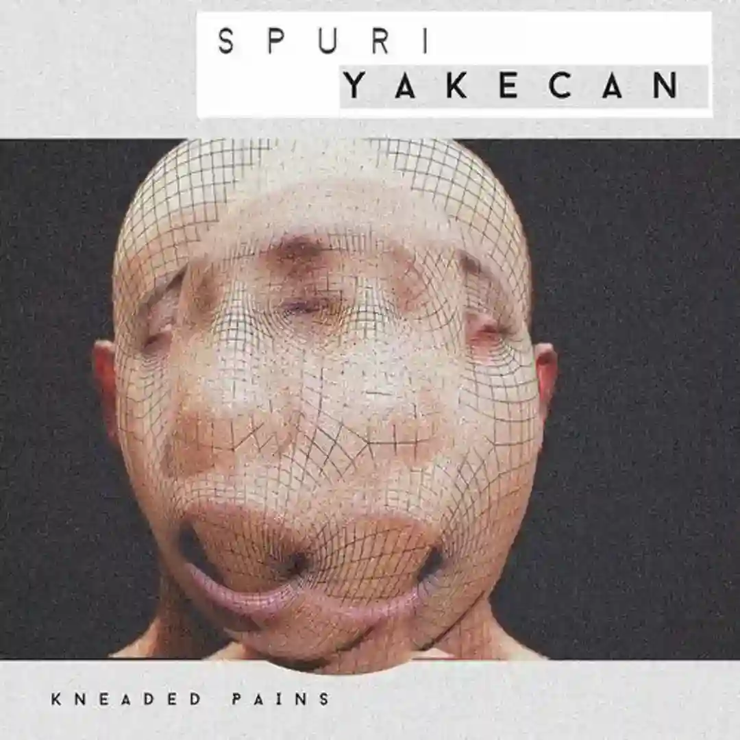 Blurring cover