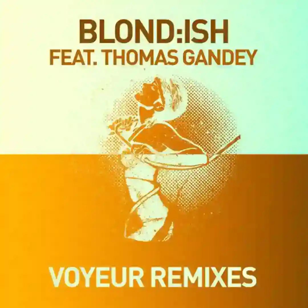 Voyeur (Remixes) cover
