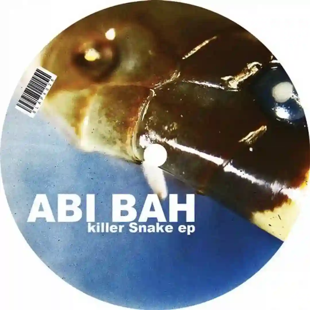 40th Theif (Original Mix) cover