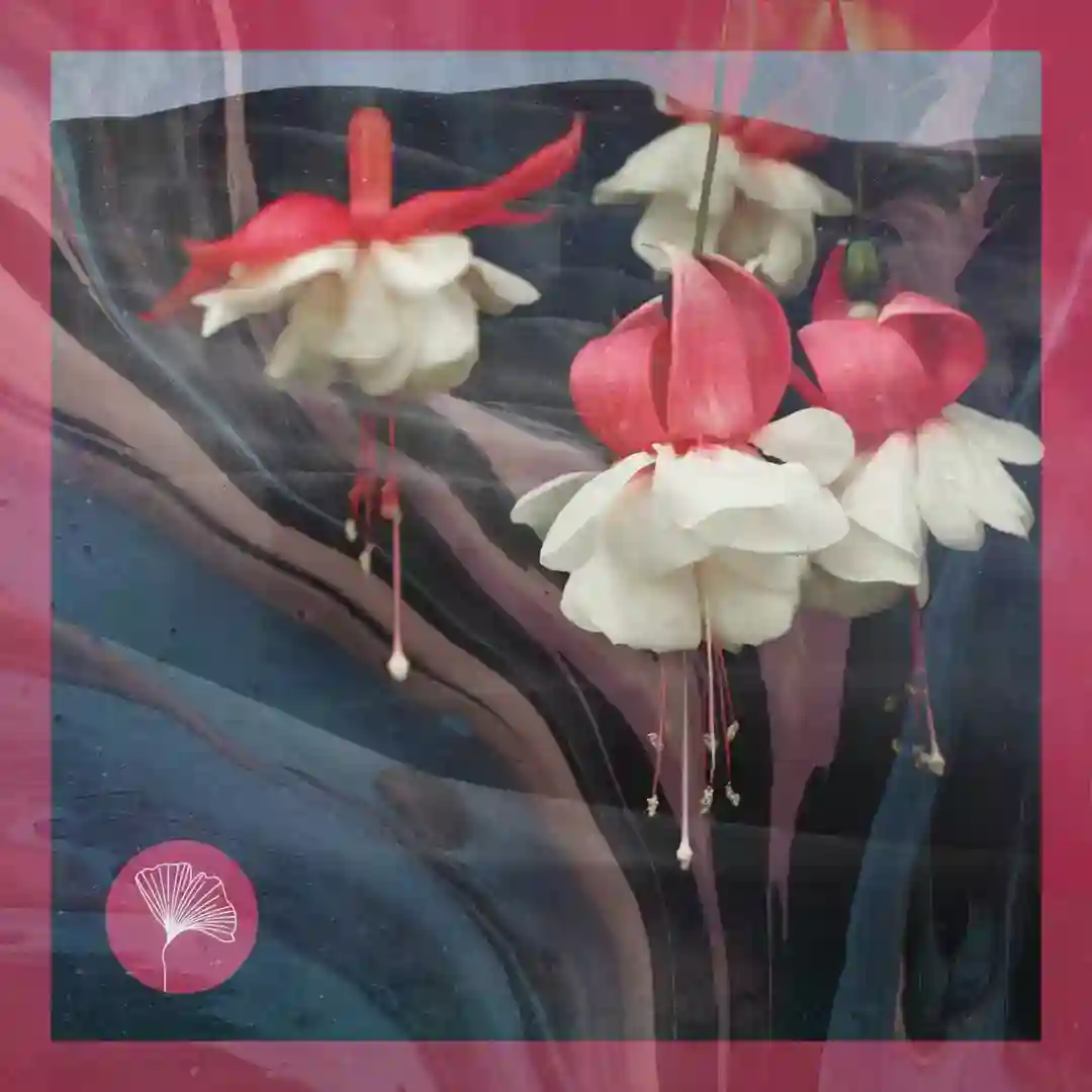 Love is You feat. Zanjma (Original Mix) cover