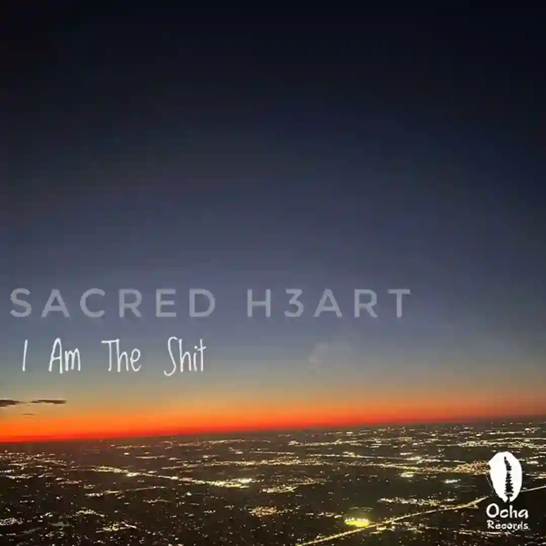 I Am The Shit feat. Dorian The Percussionist (Original Mix) cover