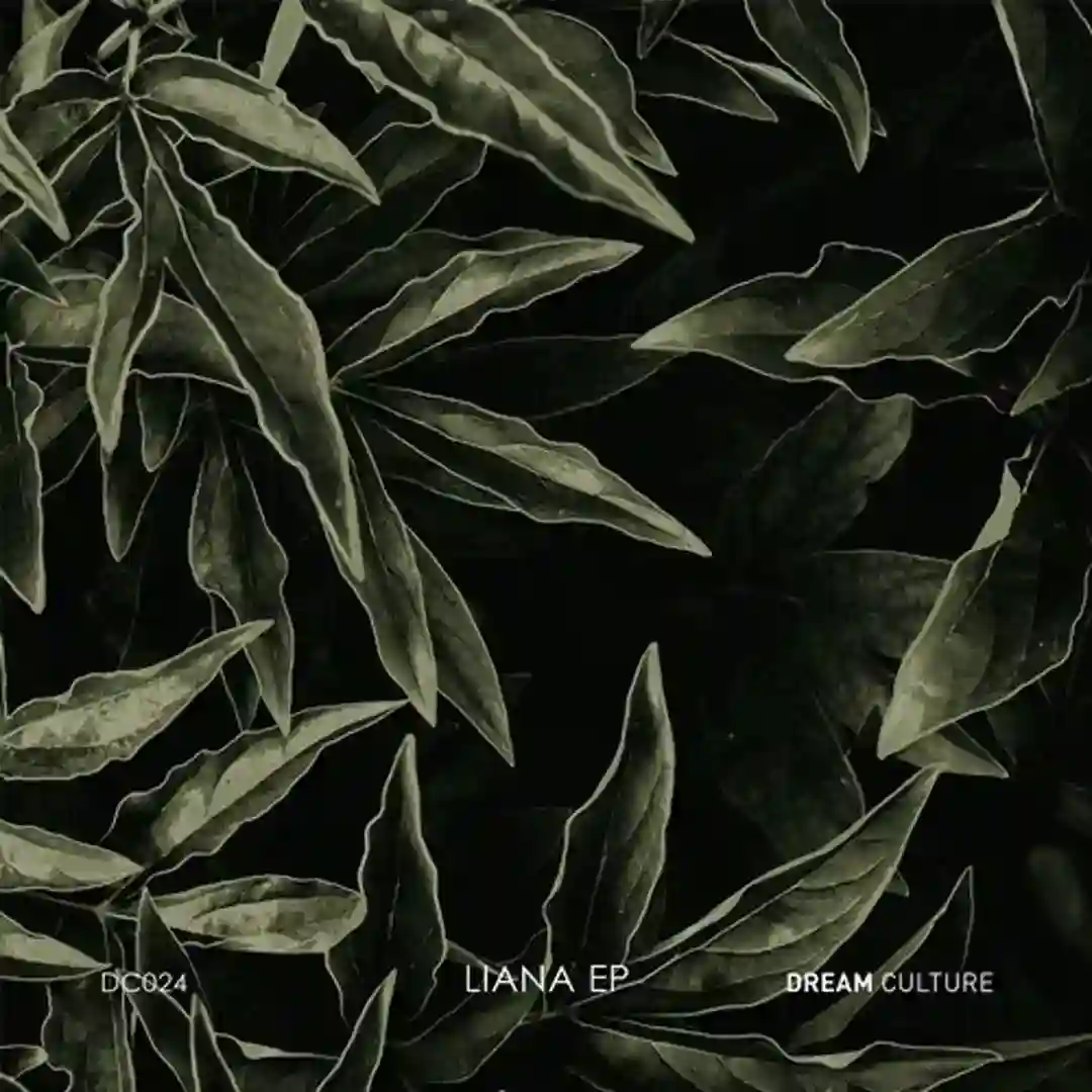 Liana (Modulo Remix) cover