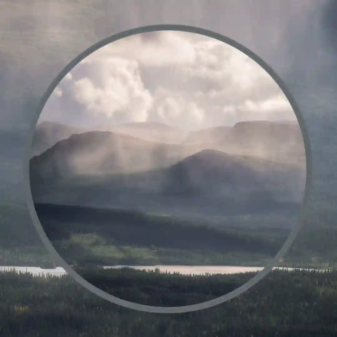 Svan (Original Mix) cover