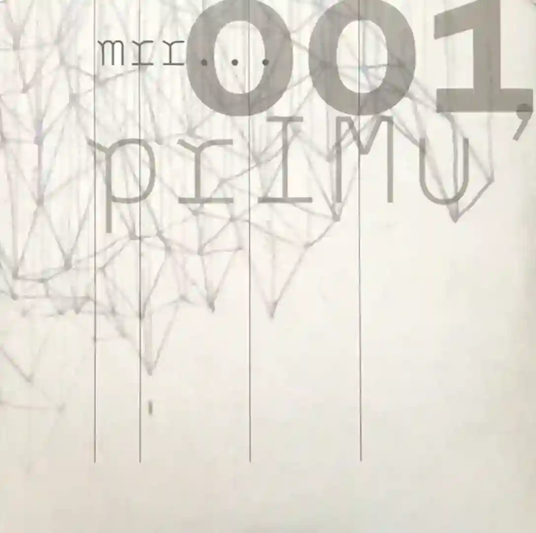 Nopti Tacute cover