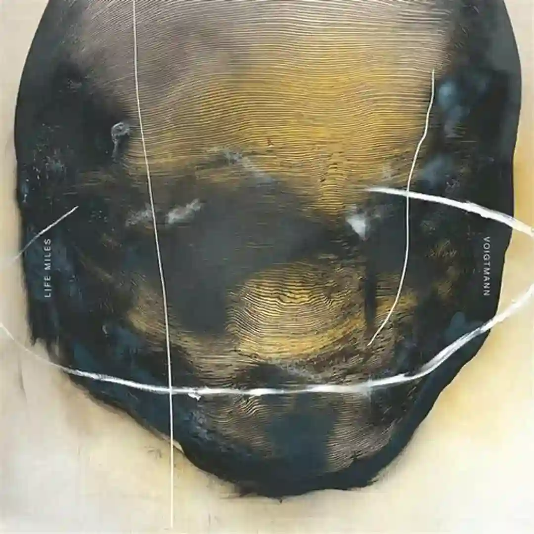 Transitory Moments cover