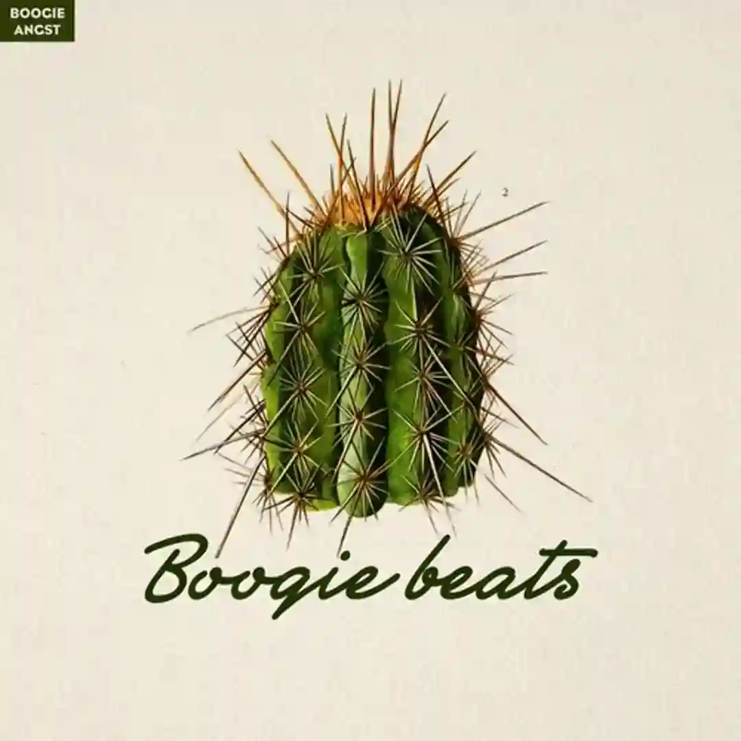 Boogie Beats cover