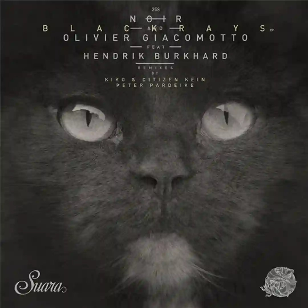 Blackrays Feat. Hendrik Burkhard (Kiko & Citizen Kain Remix) cover