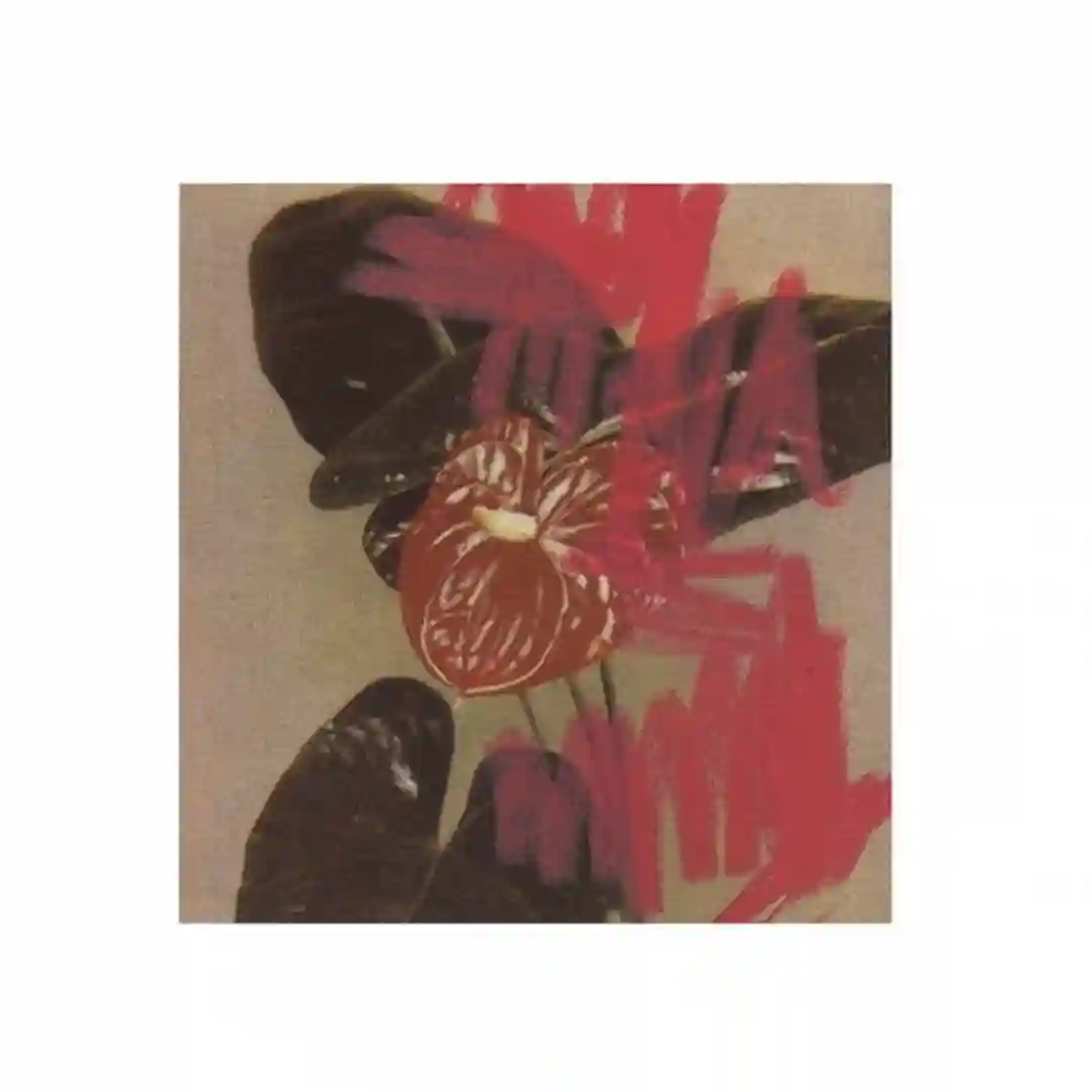 2-16 (Original Mix) cover
