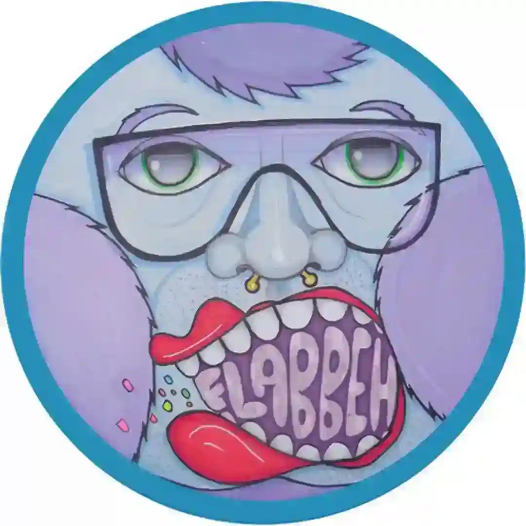 Not Too Flabbeh EP cover