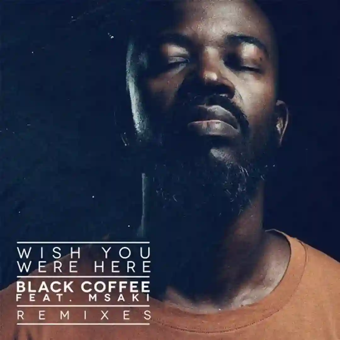 Wish You Were Here feat. Msaki (Bedouin Remix) cover