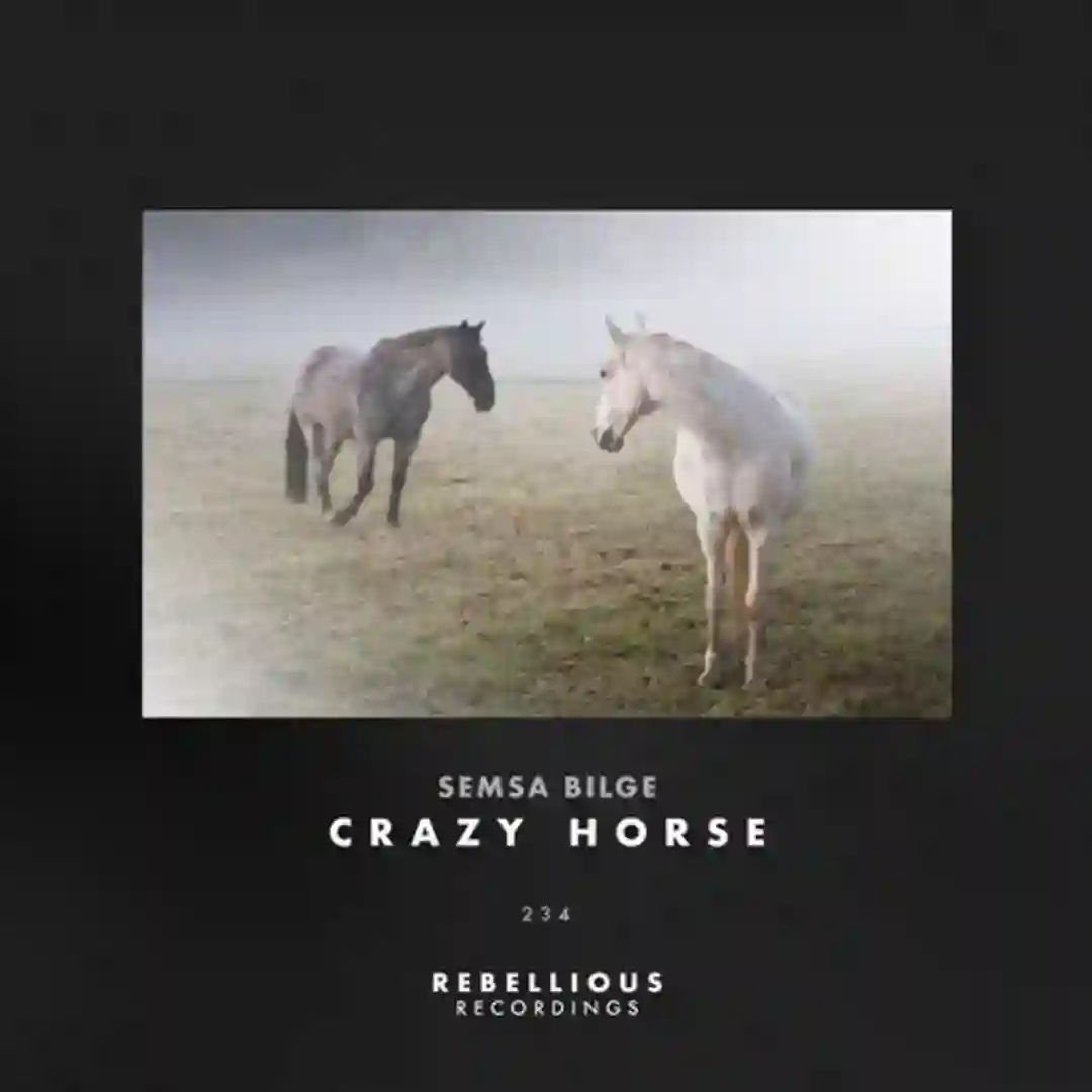 Crazy Horse (Original Mix) cover