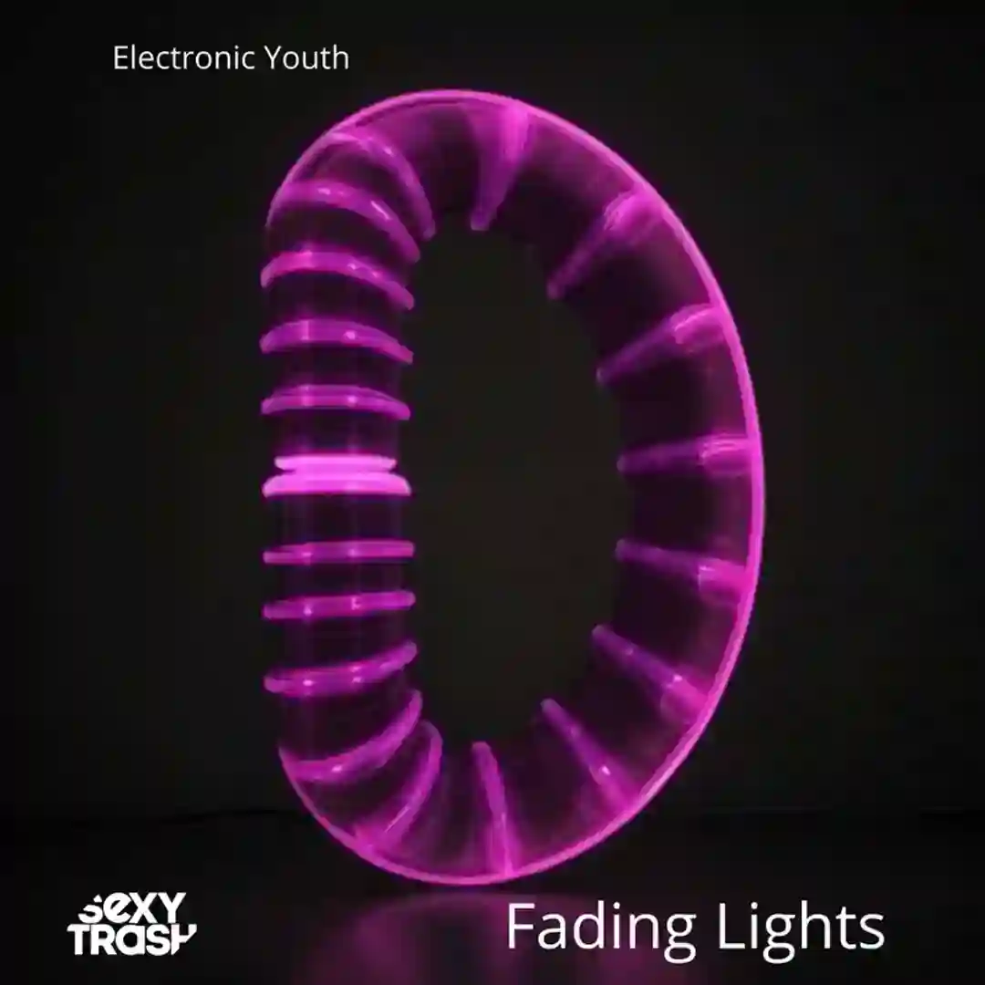 Fading Lights (Extended Mix) cover