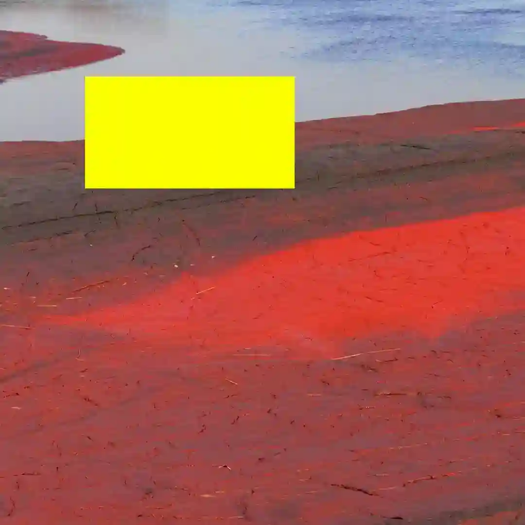 Mindbugs [1000XX0007BTI02] cover