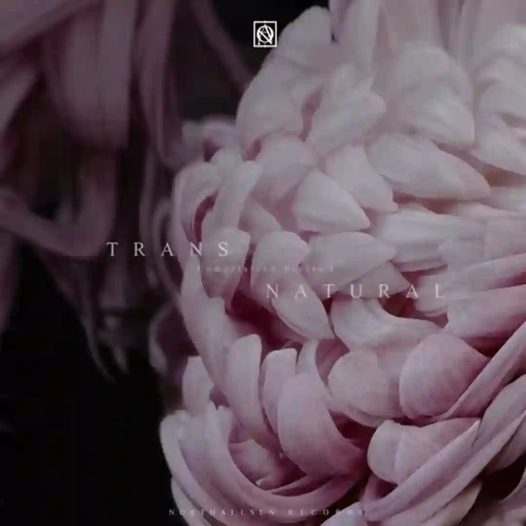 Emblematic cover
