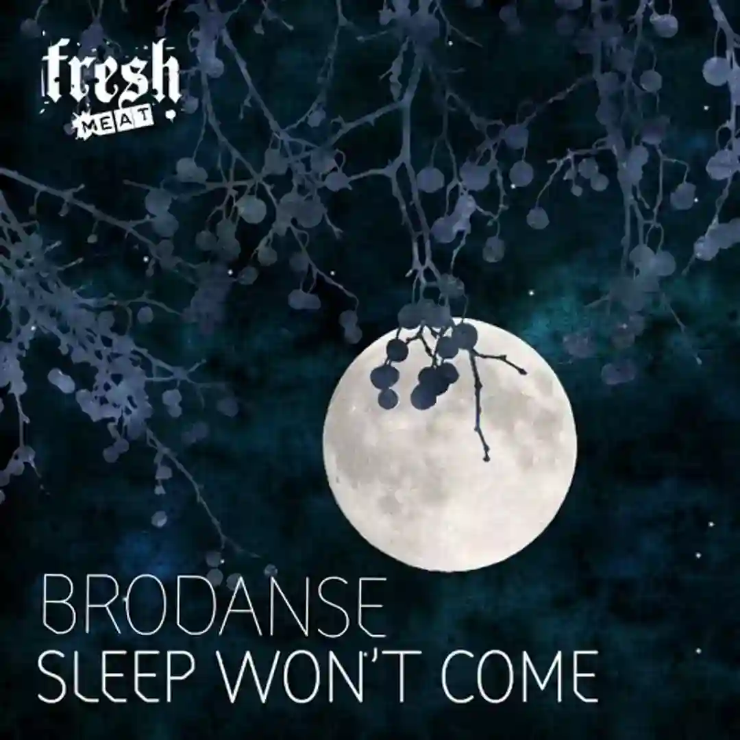 Sleep Won't Come cover