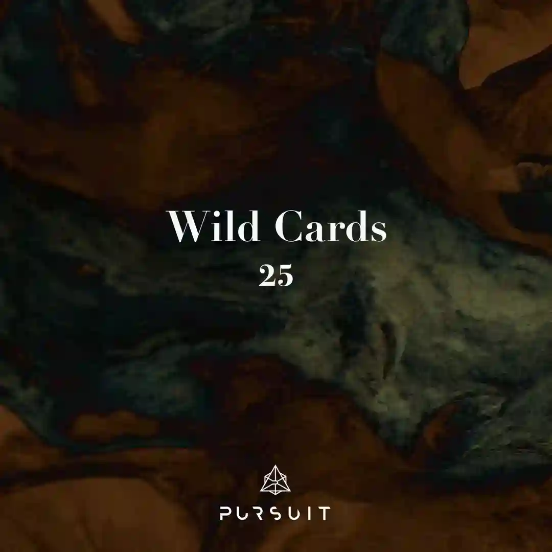 Wild Cards 25 cover