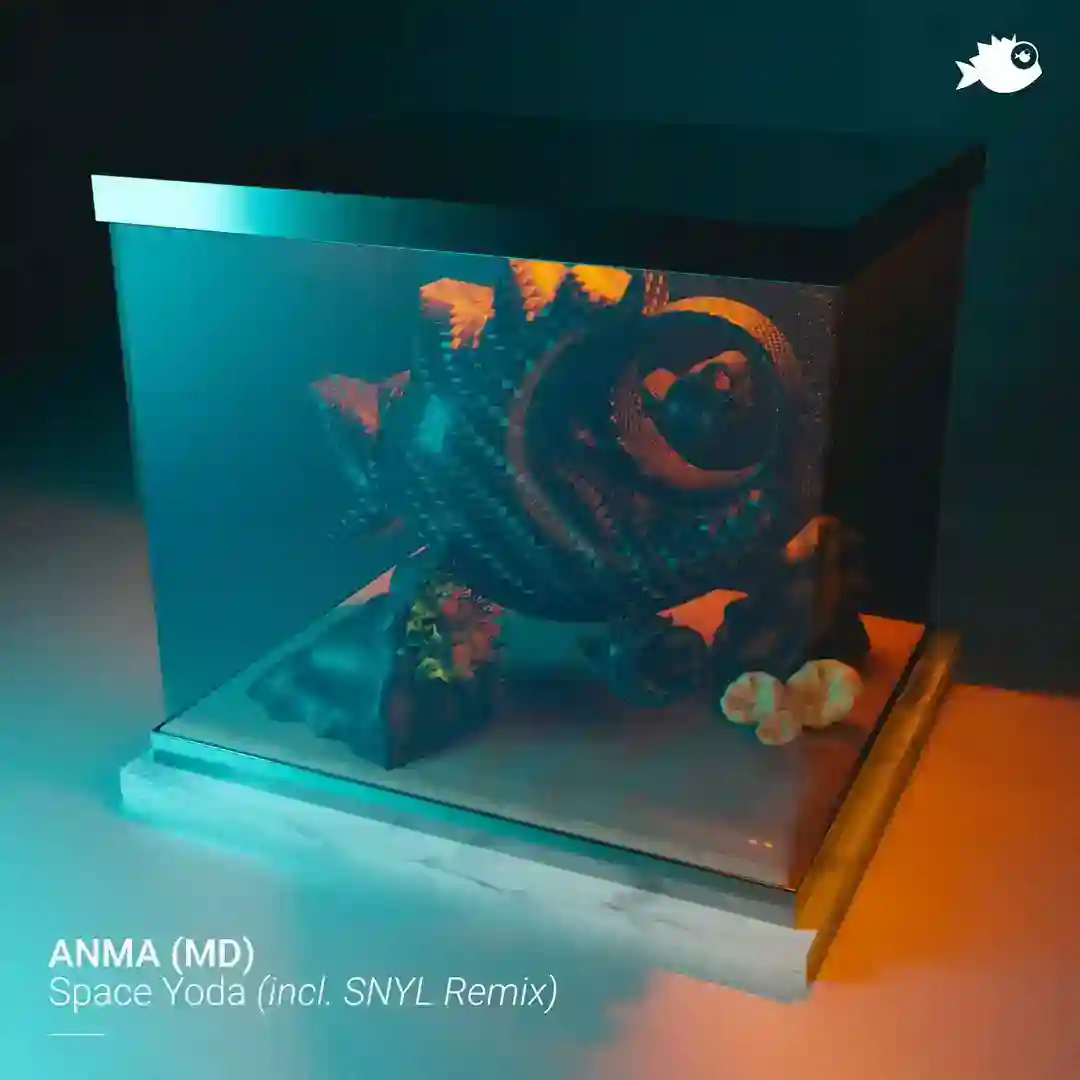 Space Yoda (Original Mix) cover