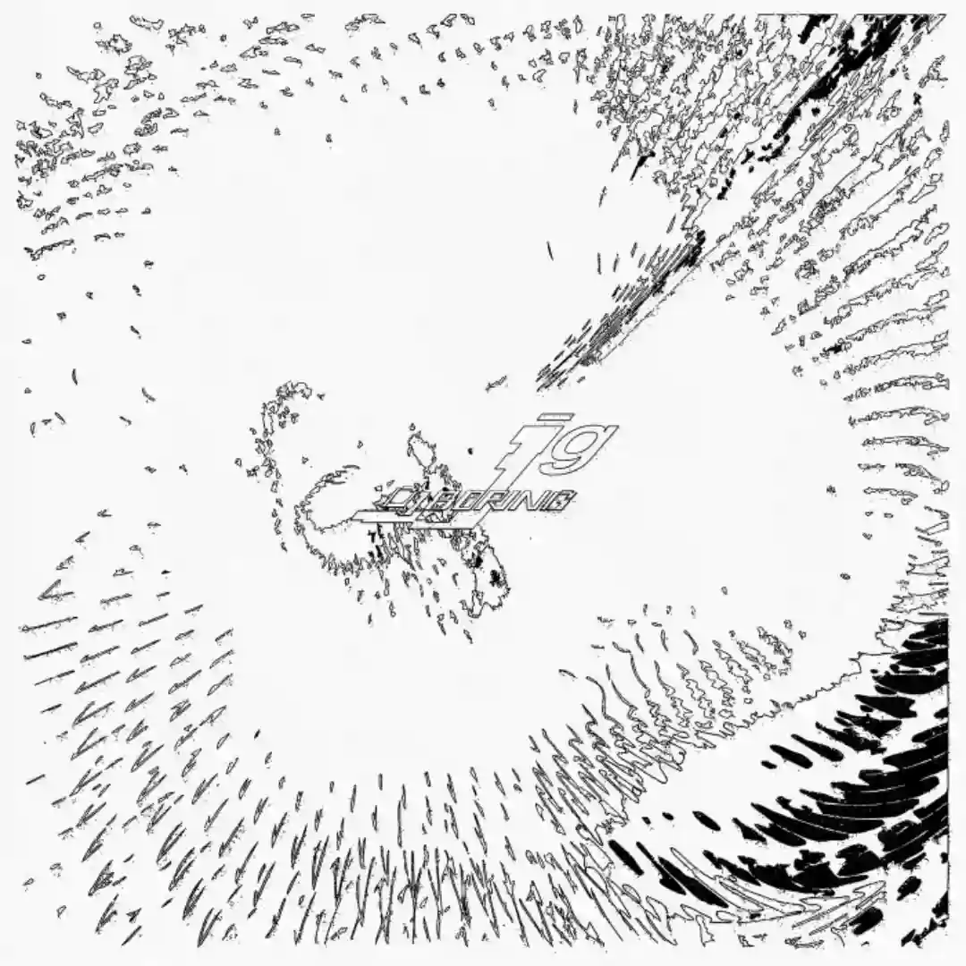 Closer cover