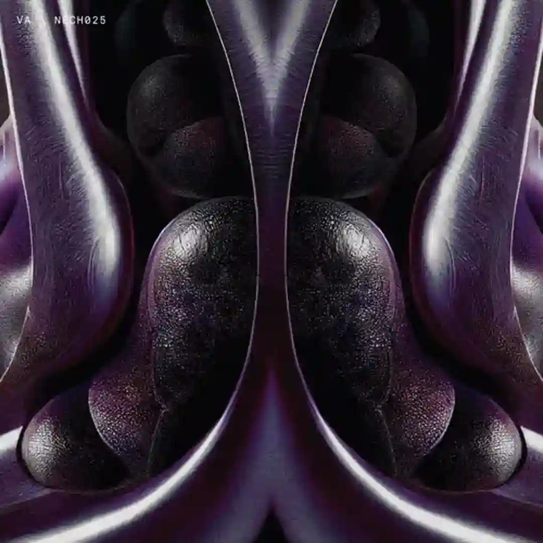 NECH025 cover