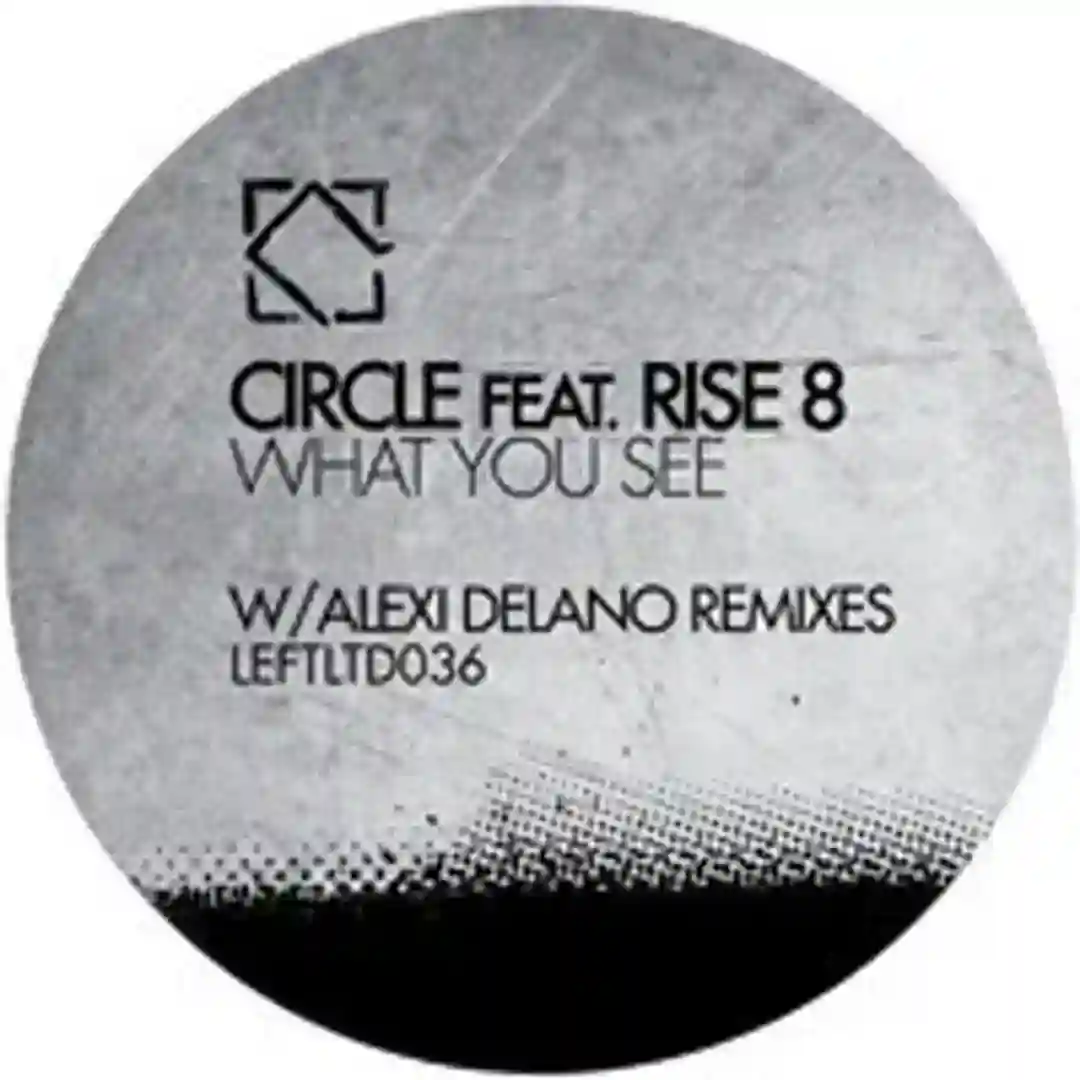 What You See (Alexi Delano Dub Mix) cover