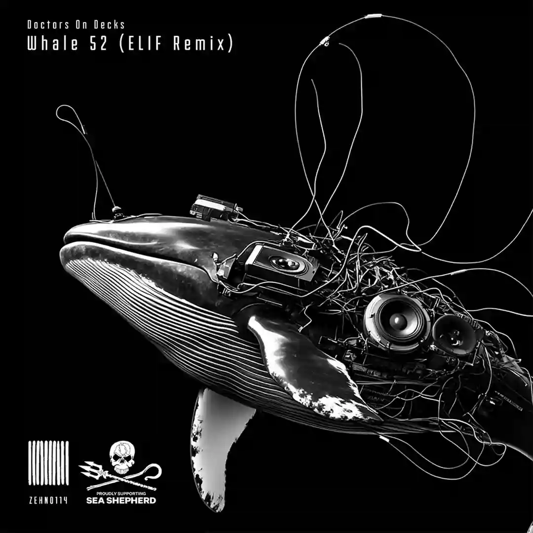 Whale 52 (ELIF Remix) cover