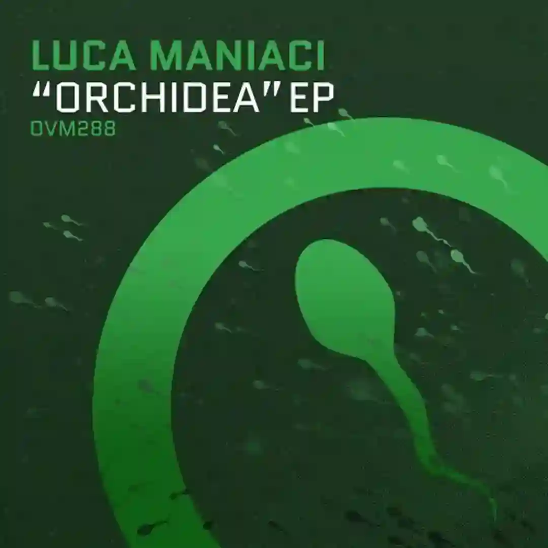 Orchidea (Original Mix) cover