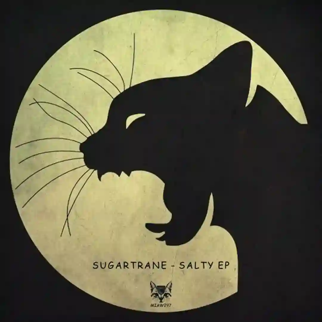 Salty EP cover