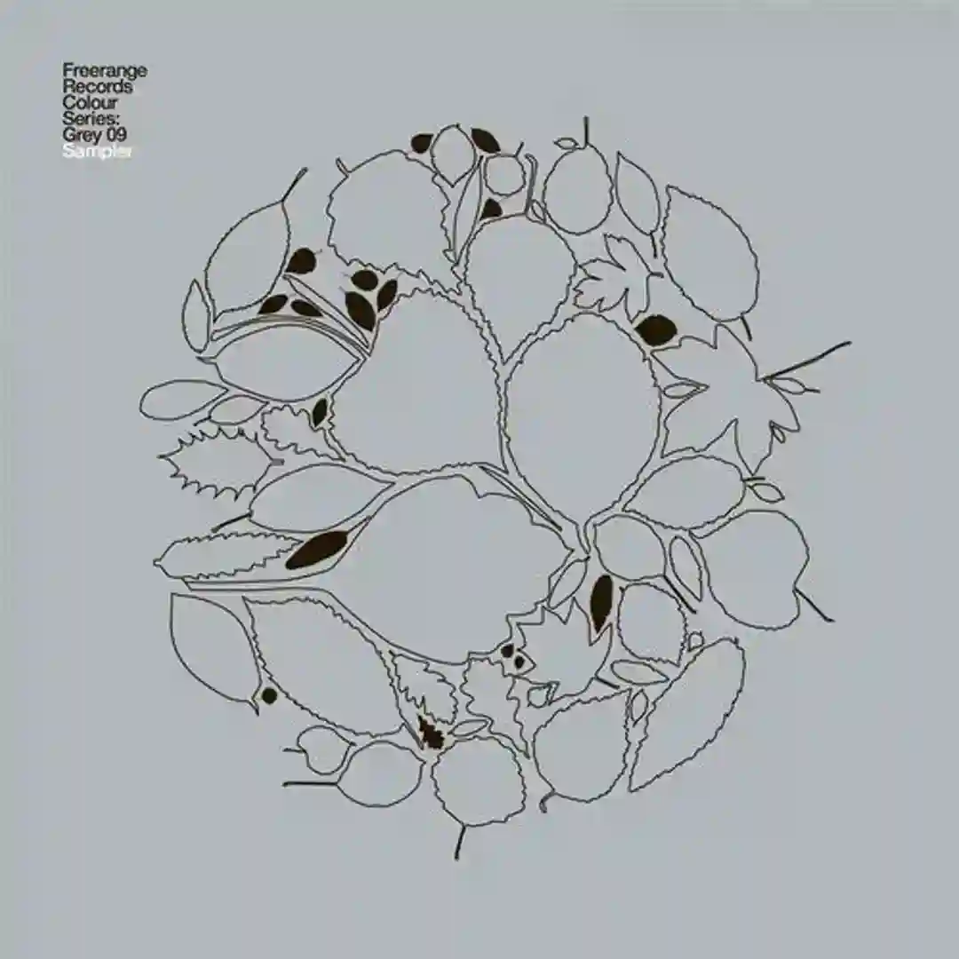 DSI cover