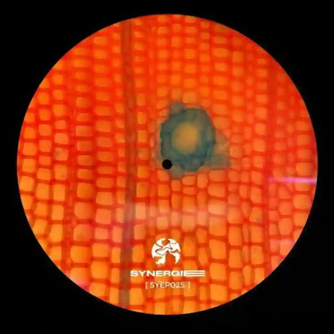 Reloaded (Syep025) cover